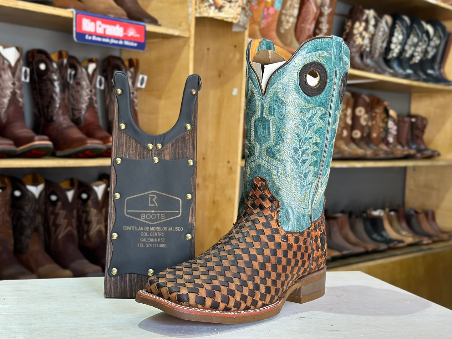 Nokota Horse Petatillo Caballero