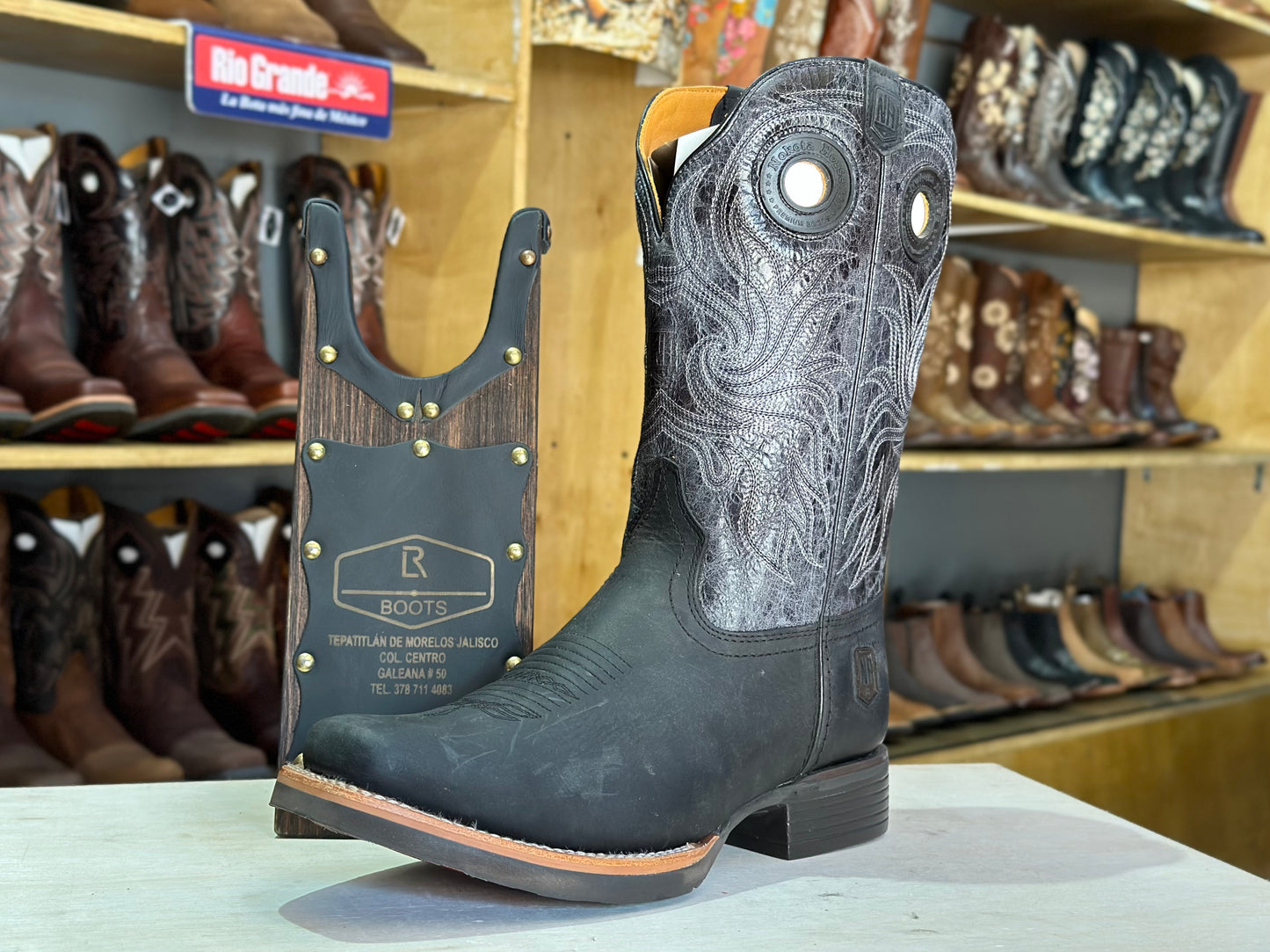 Nokota Horse crazy negra Caballero