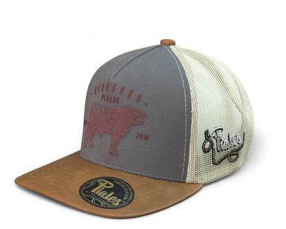 PIALES HEREFORD GRIS/CAFÉ