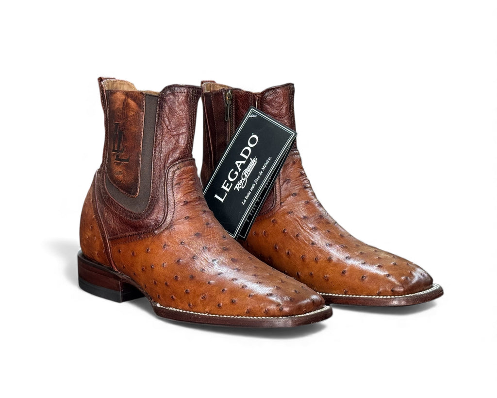 RIO GRANDE DELFINO AVESTRUZ