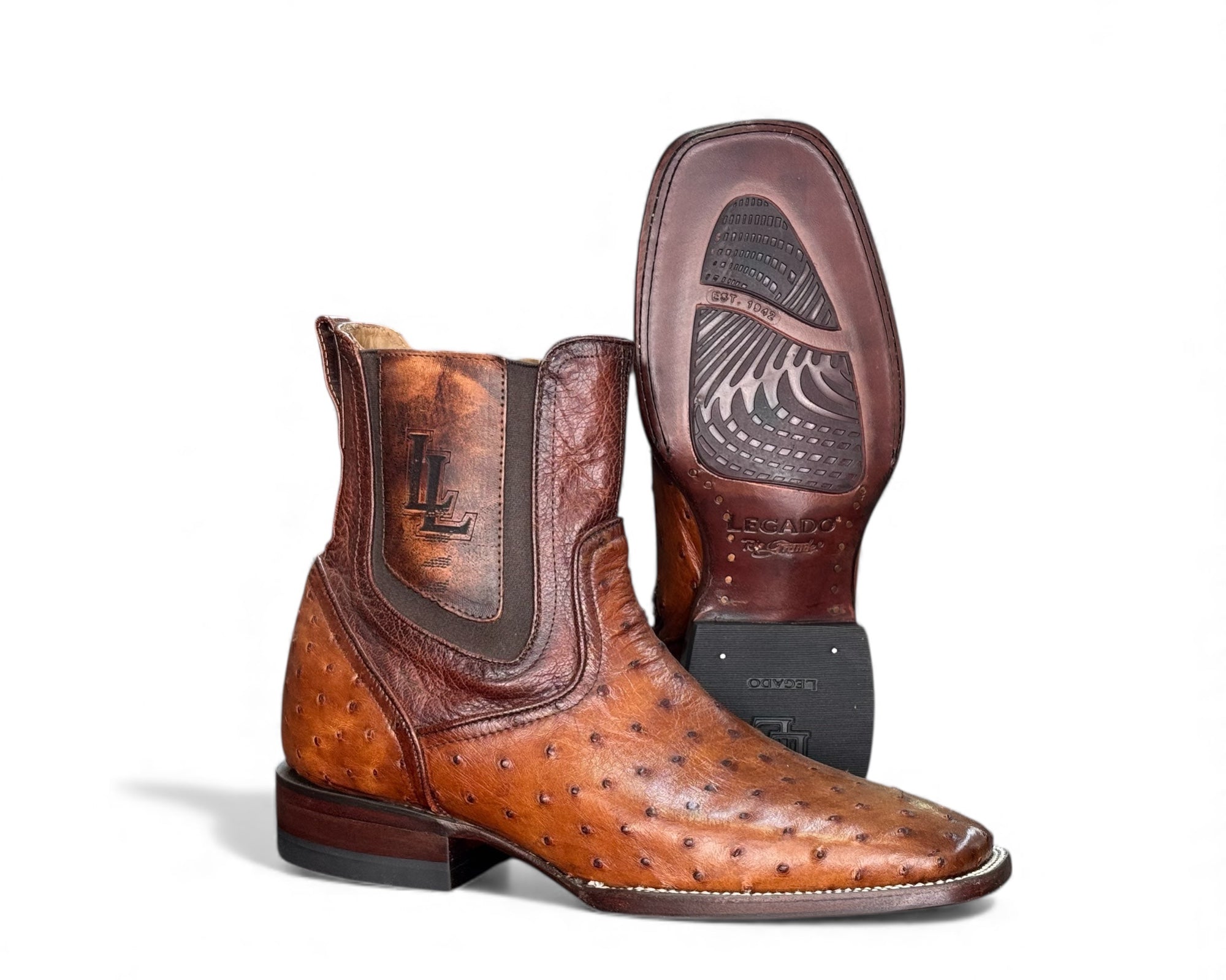 RIO GRANDE DELFINO AVESTRUZ