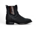 RIO GRANDE DELFINO PITÓN NEGRO