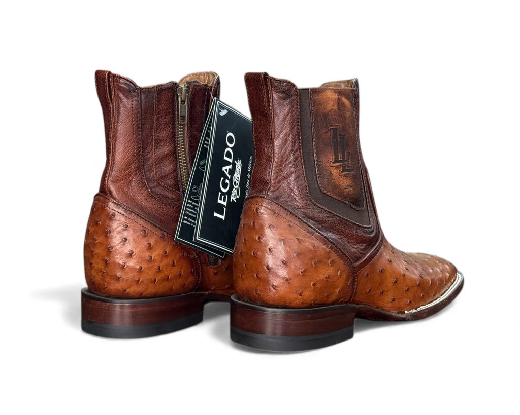 RIO GRANDE DELFINO AVESTRUZ