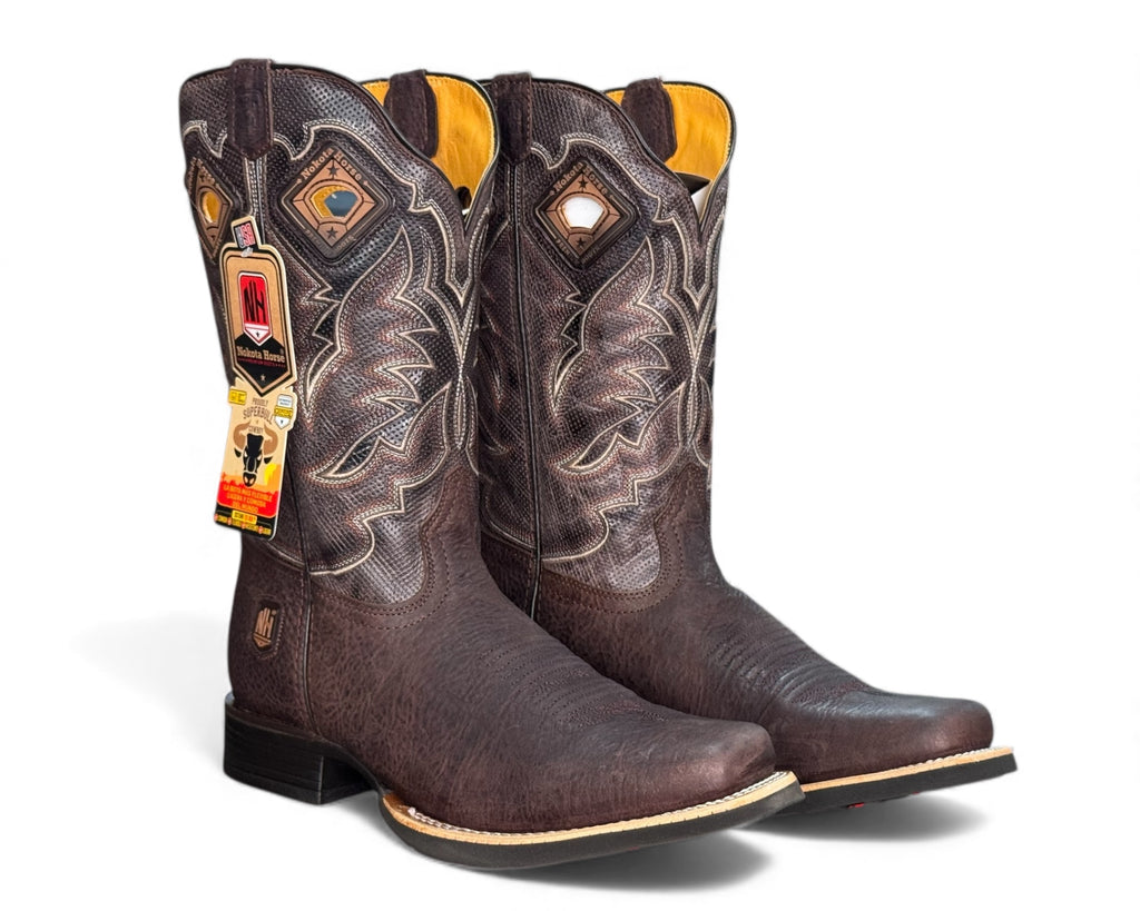 Nokota Horse Yuma H10 Caballero