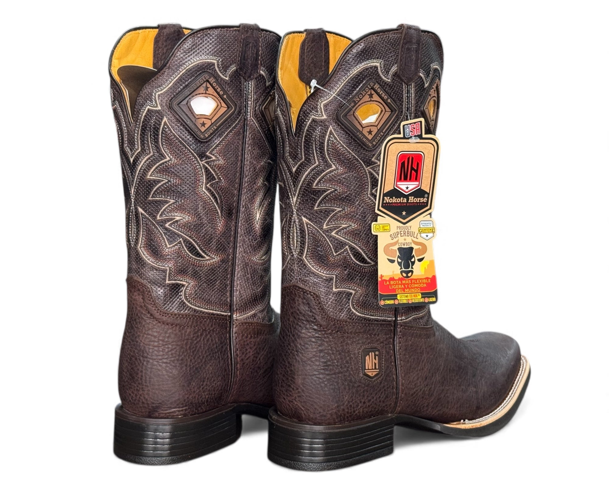 Nokota Horse Yuma H10 Caballero